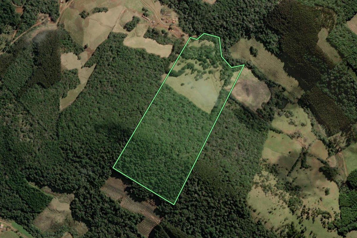 Imagem de satélite do imóvel rural em Tangará (SC), com o contorno declarado no CAR desenhado por cima.