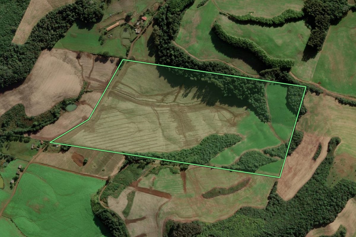 Imagem de satélite do imóvel rural em Tangará (SC), com o contorno declarado no CAR desenhado por cima.