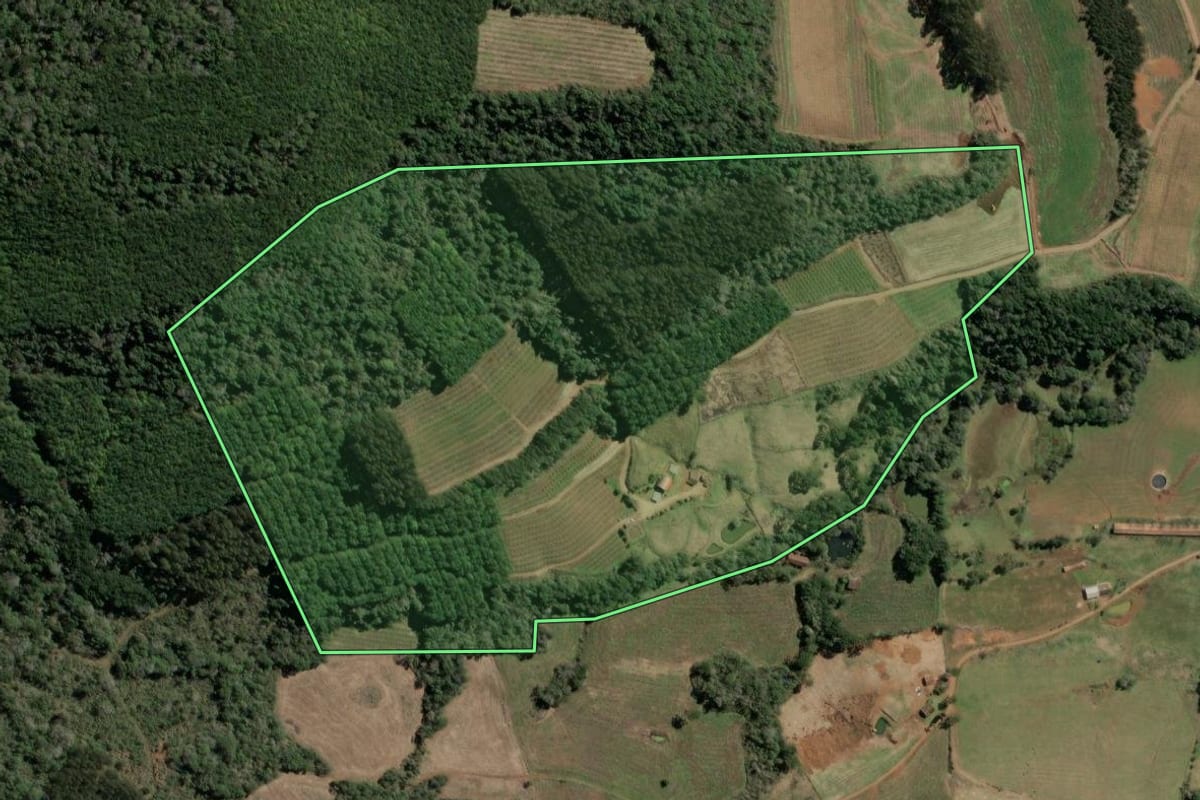 Imagem de satélite do imóvel rural em Tangará (SC), com o contorno declarado no CAR desenhado por cima.