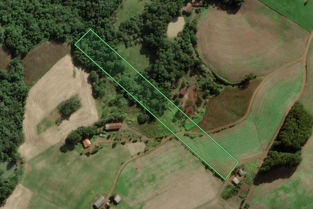 Imagem de satélite do imóvel rural em Tangará (SC), com o contorno declarado no CAR desenhado por cima.