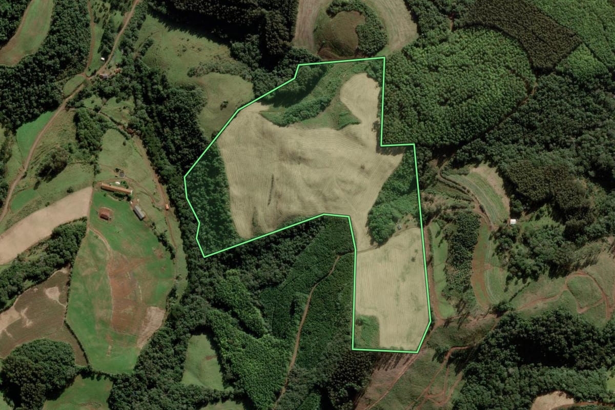 Imagem de satélite do imóvel rural em Tangará (SC), com o contorno declarado no CAR desenhado por cima.