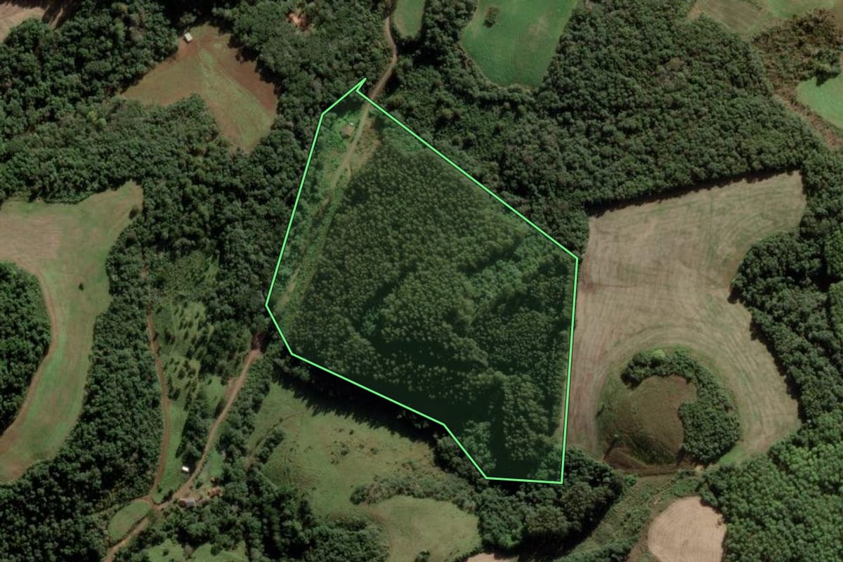 Imagem de satélite do imóvel rural em Tangará (SC), com o contorno declarado no CAR desenhado por cima.