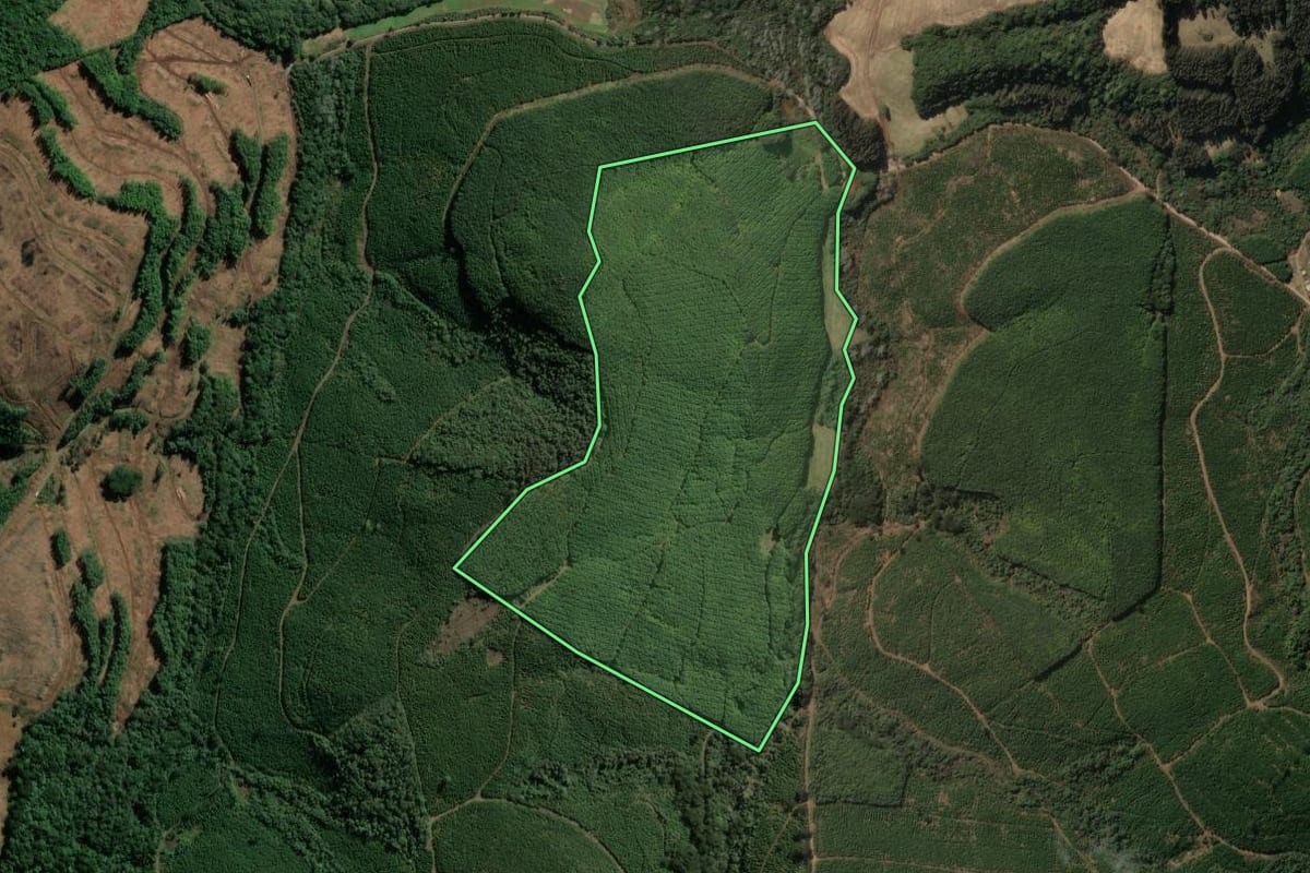 Imagem de satélite do imóvel rural em Tangará (SC), com o contorno declarado no CAR desenhado por cima.