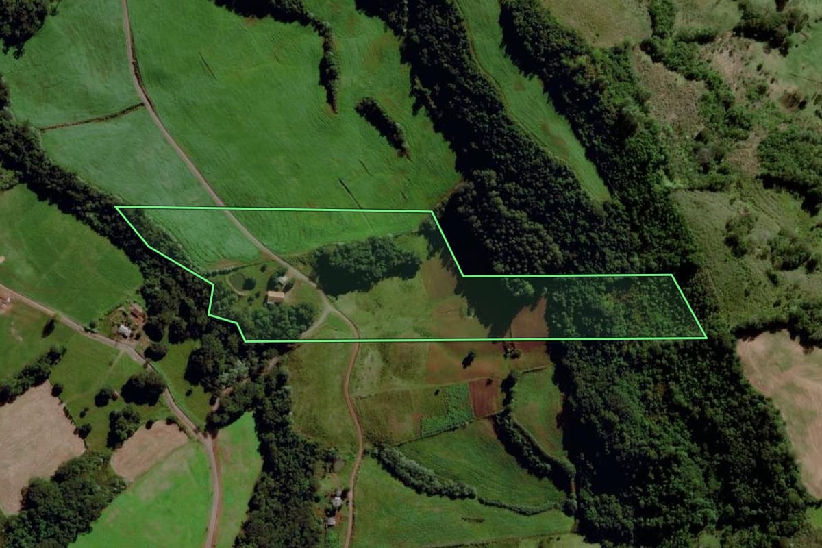 Imagem de satélite do imóvel rural em Tigrinhos (SC), com o contorno declarado no CAR desenhado por cima.