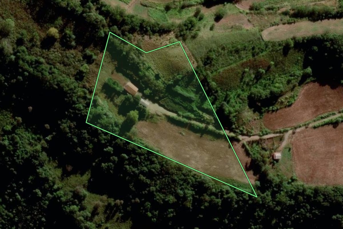 Imagem de satélite do imóvel rural em Tigrinhos (SC), com o contorno declarado no CAR desenhado por cima.
