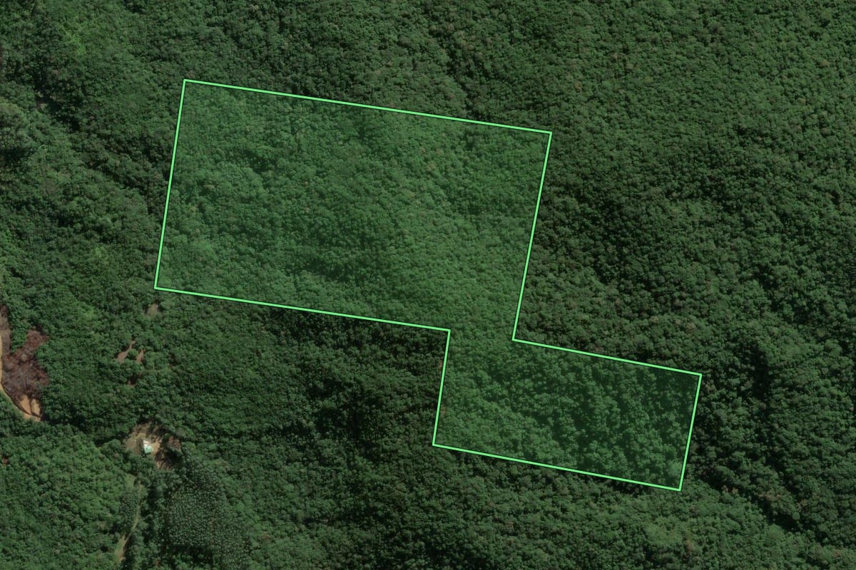 Imagem de satélite do imóvel rural em Tijucas (SC), com o contorno declarado no CAR desenhado por cima.