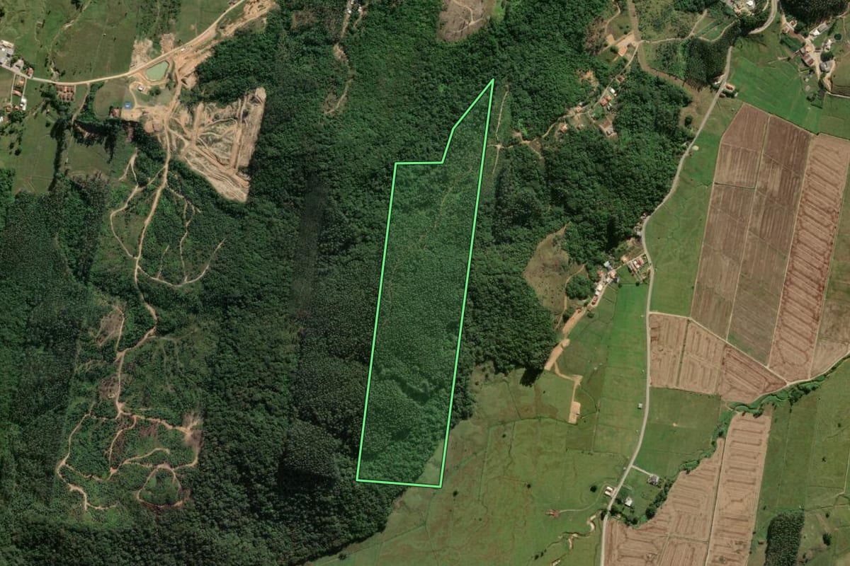Imagem de satélite do imóvel rural em Tijucas (SC), com o contorno declarado no CAR desenhado por cima.