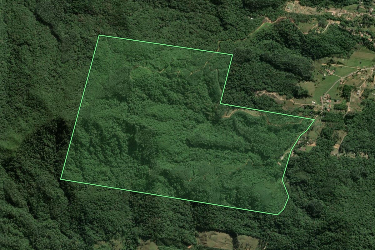 Imagem de satélite do imóvel rural em Tijucas (SC), com o contorno declarado no CAR desenhado por cima.