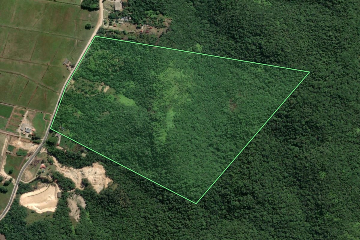 Imagem de satélite do imóvel rural em Tijucas (SC), com o contorno declarado no CAR desenhado por cima.