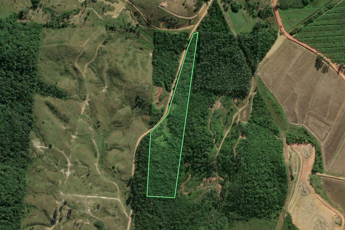 Imagem de satélite do imóvel rural em Tijucas (SC), com o contorno declarado no CAR desenhado por cima.