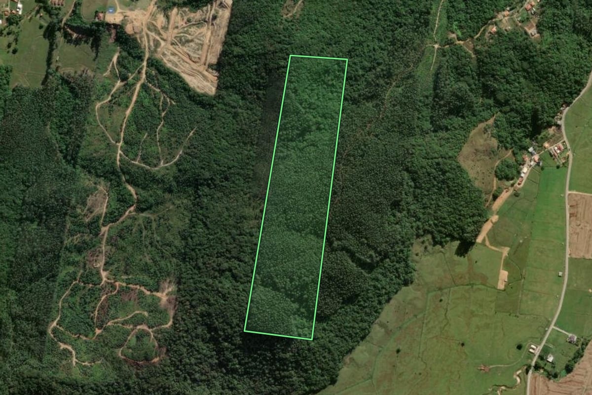 Imagem de satélite do imóvel rural em Tijucas (SC), com o contorno declarado no CAR desenhado por cima.