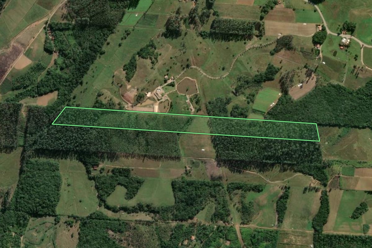Imagem de satélite do imóvel rural em Tijucas (SC), com o contorno declarado no CAR desenhado por cima.