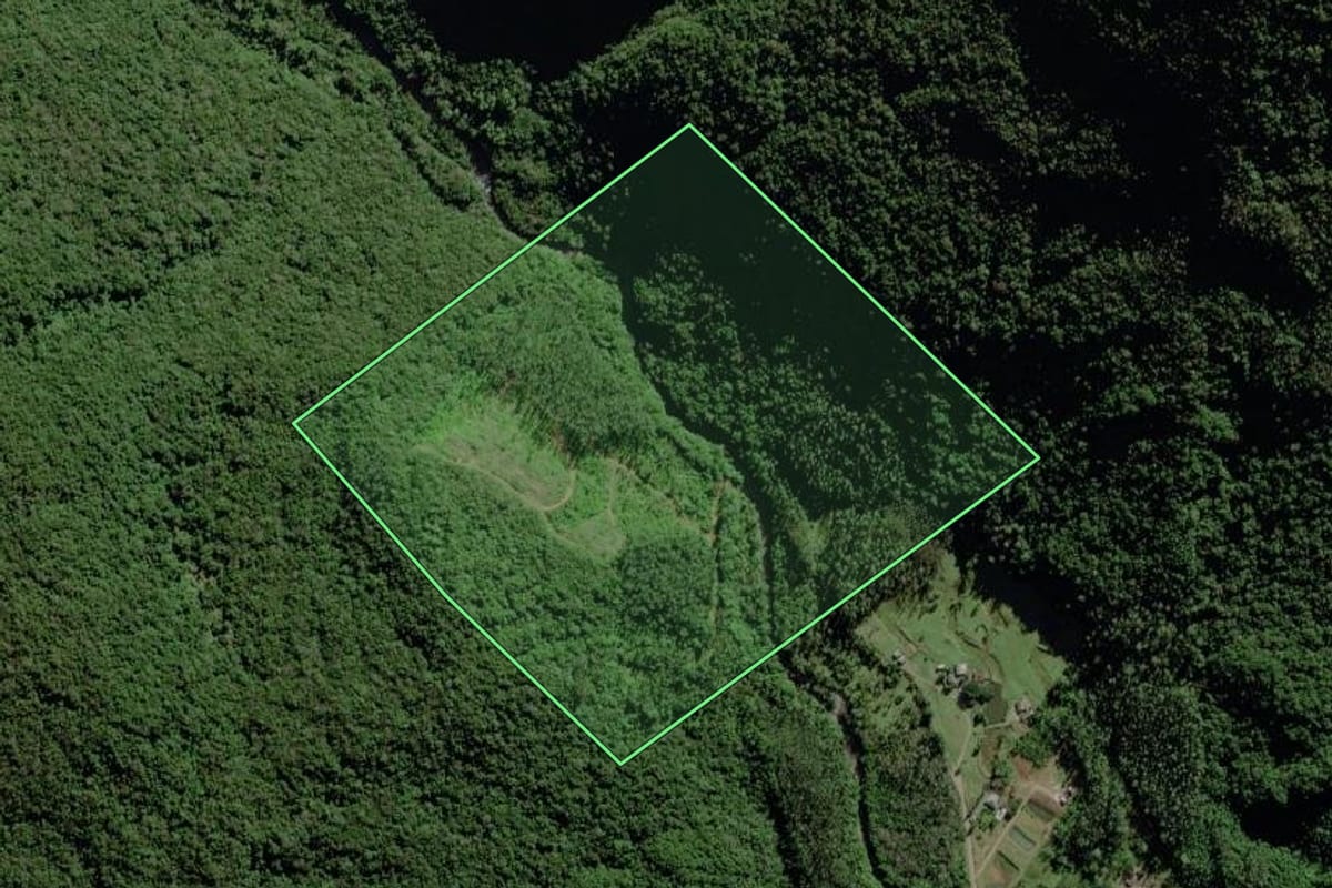 Imagem de satélite do imóvel rural em Timbé do Sul (SC), com o contorno declarado no CAR desenhado por cima.