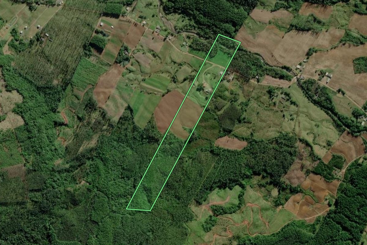 Imagem de satélite do imóvel rural em Timbé do Sul (SC), com o contorno declarado no CAR desenhado por cima.
