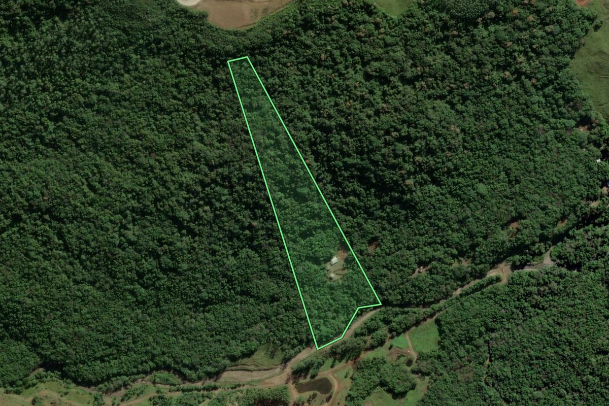 Imagem de satélite do imóvel rural em Timbé do Sul (SC), com o contorno declarado no CAR desenhado por cima.