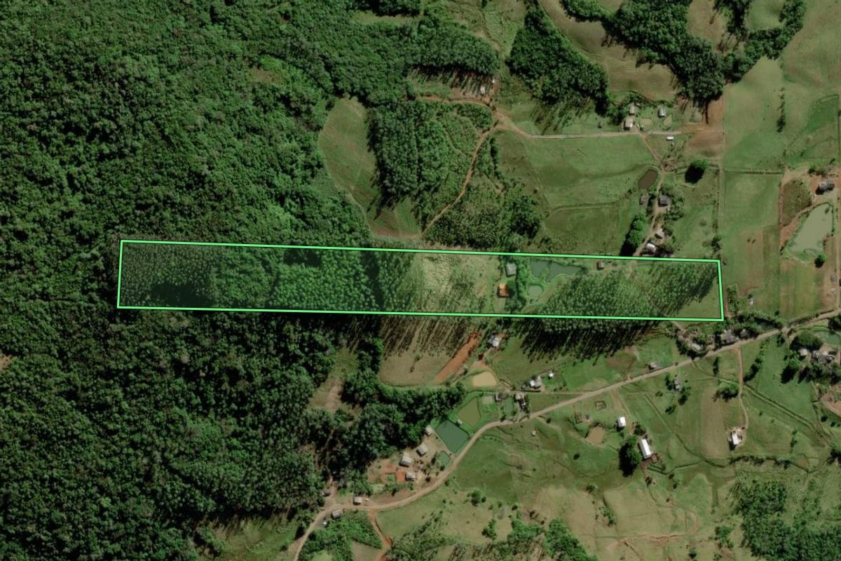 Imagem de satélite do imóvel rural em Timbé do Sul (SC), com o contorno declarado no CAR desenhado por cima.