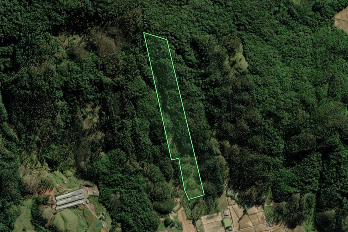 Imagem de satélite do imóvel rural em Timbé do Sul (SC), com o contorno declarado no CAR desenhado por cima.