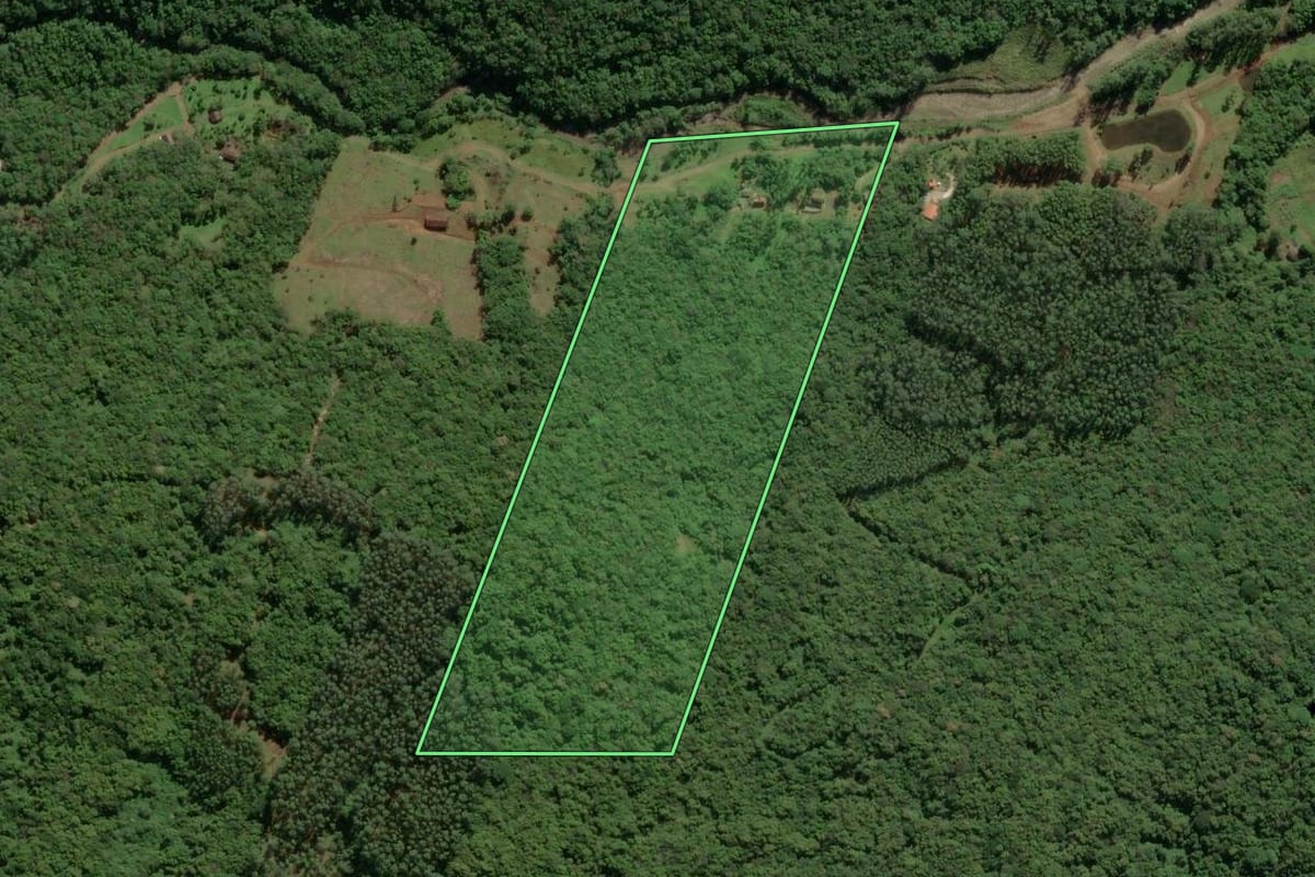 Imagem de satélite do imóvel rural em Timbé do Sul (SC), com o contorno declarado no CAR desenhado por cima.