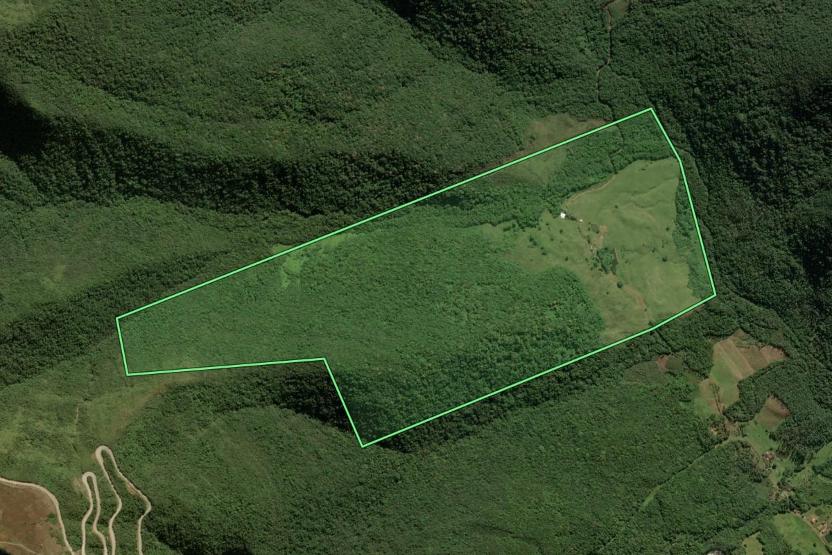 Imagem de satélite do imóvel rural em Timbé do Sul (SC), com o contorno declarado no CAR desenhado por cima.