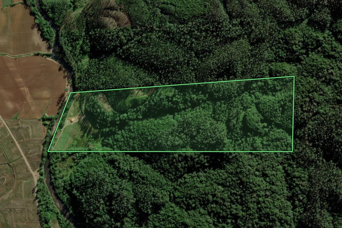 Imagem de satélite do imóvel rural em Timbé do Sul (SC), com o contorno declarado no CAR desenhado por cima.