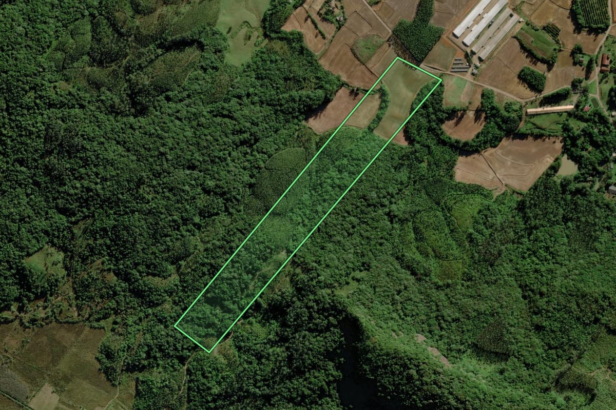 Imagem de satélite do imóvel rural em Timbé do Sul (SC), com o contorno declarado no CAR desenhado por cima.