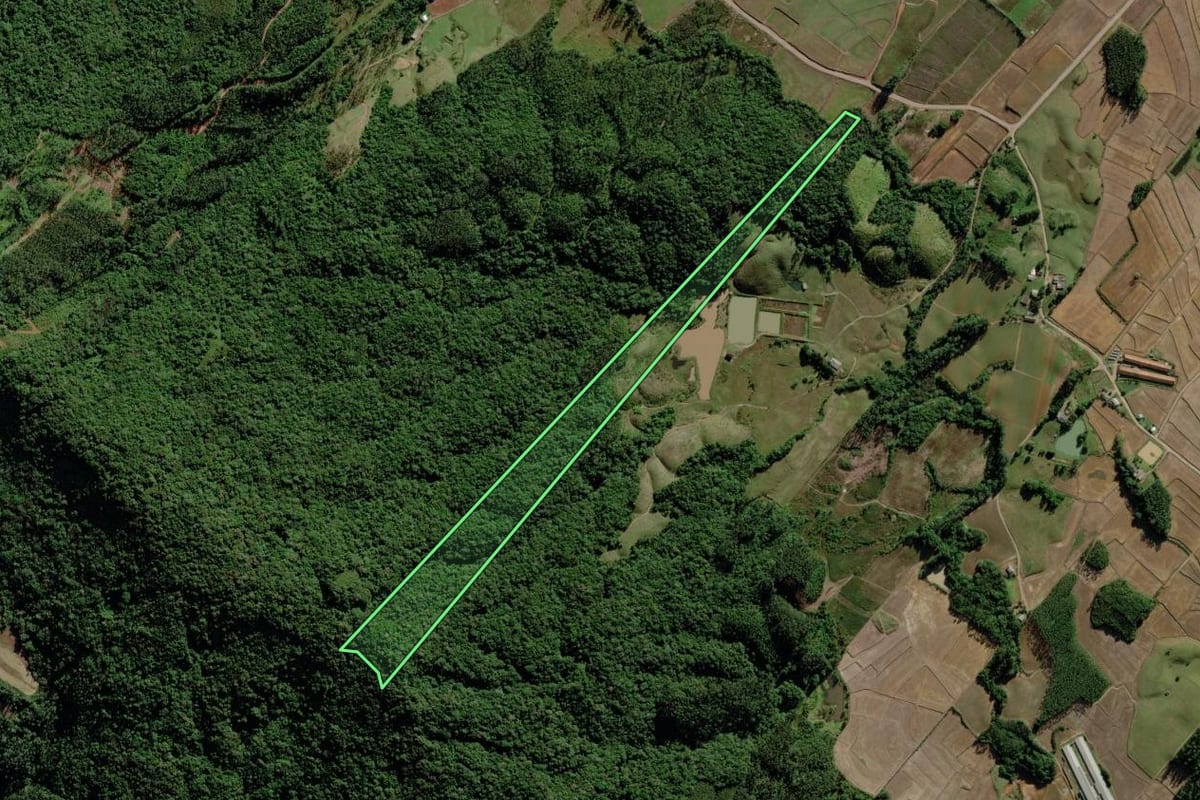 Imagem de satélite do imóvel rural em Timbé do Sul (SC), com o contorno declarado no CAR desenhado por cima.
