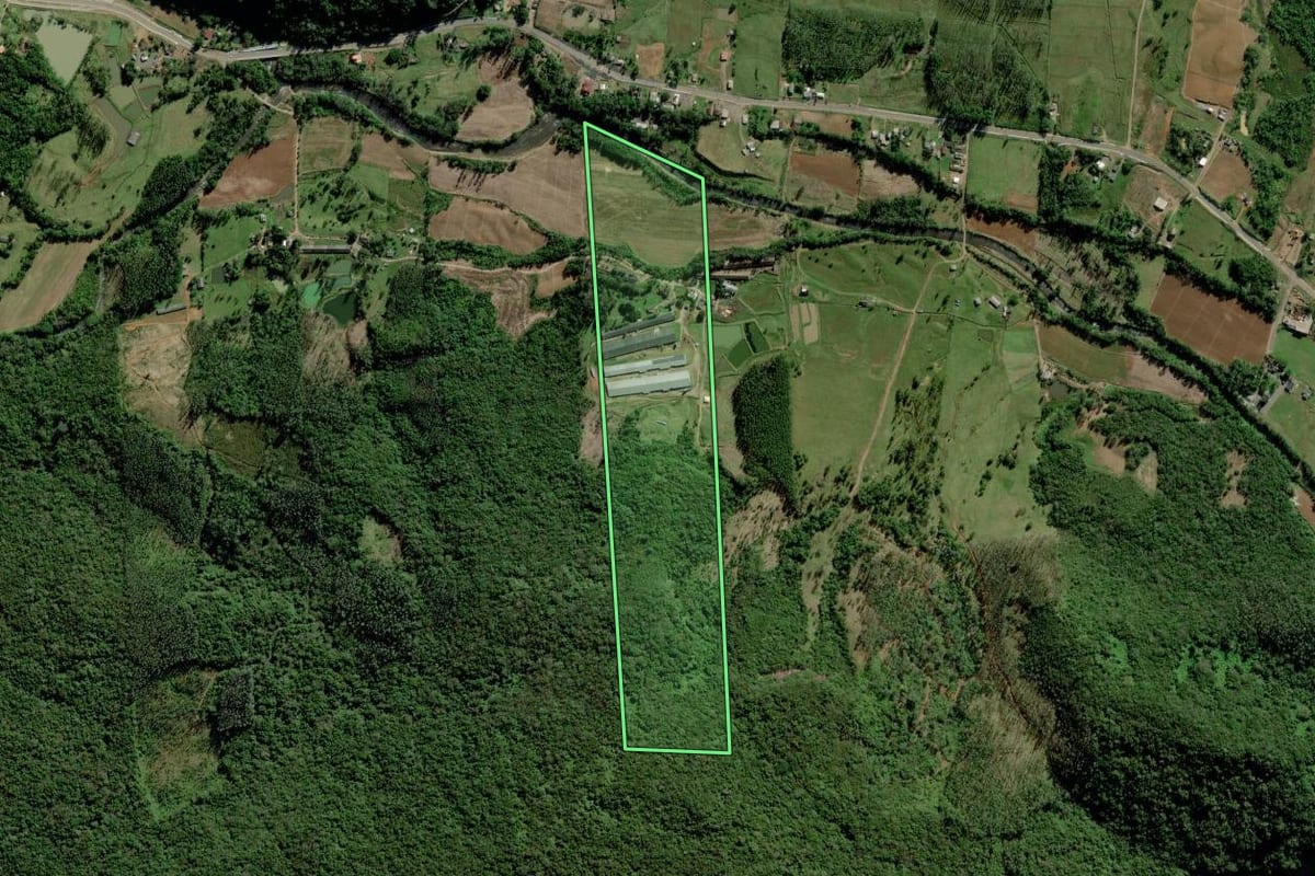 Imagem de satélite do imóvel rural em Timbé do Sul (SC), com o contorno declarado no CAR desenhado por cima.