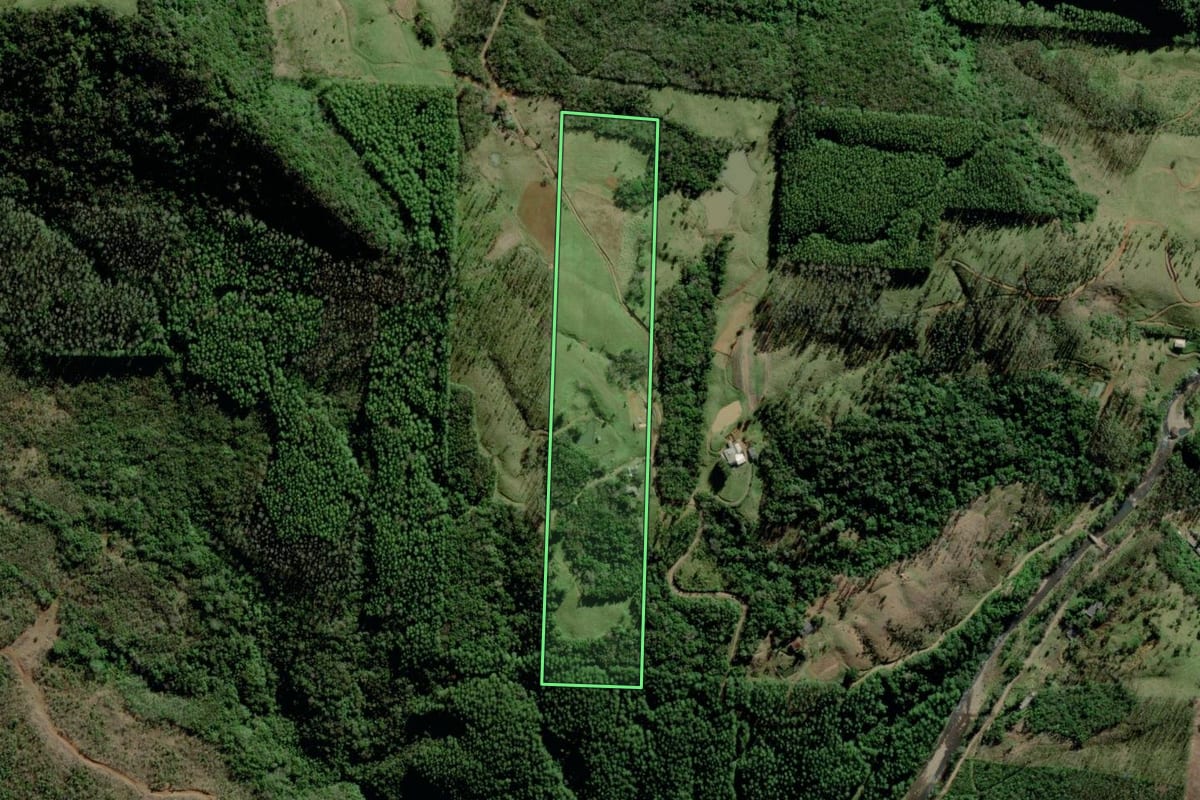 Imagem de satélite do imóvel rural em Timbé do Sul (SC), com o contorno declarado no CAR desenhado por cima.