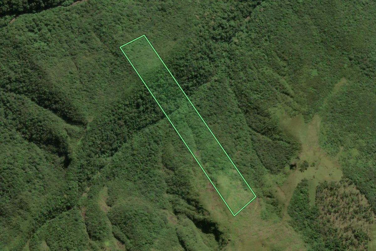 Imagem de satélite do imóvel rural em Timbé do Sul (SC), com o contorno declarado no CAR desenhado por cima.