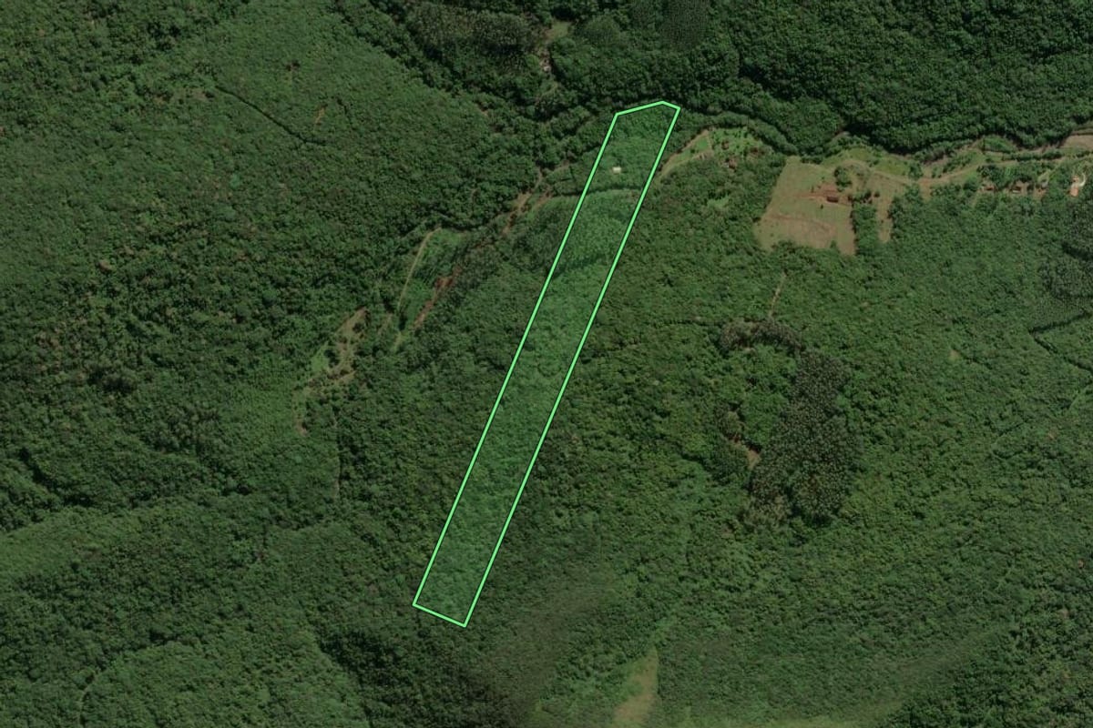 Imagem de satélite do imóvel rural em Timbé do Sul (SC), com o contorno declarado no CAR desenhado por cima.