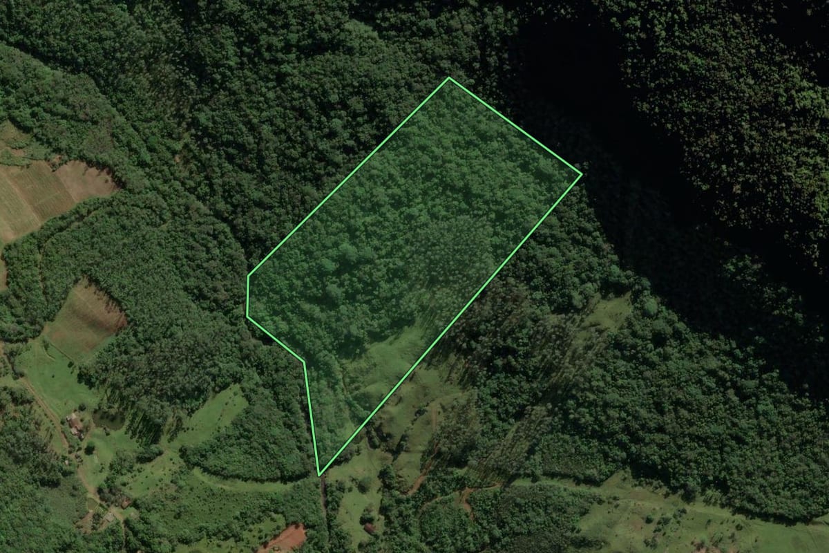 Imagem de satélite do imóvel rural em Timbé do Sul (SC), com o contorno declarado no CAR desenhado por cima.