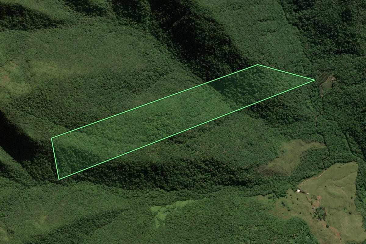 Imagem de satélite do imóvel rural em Timbé do Sul (SC), com o contorno declarado no CAR desenhado por cima.