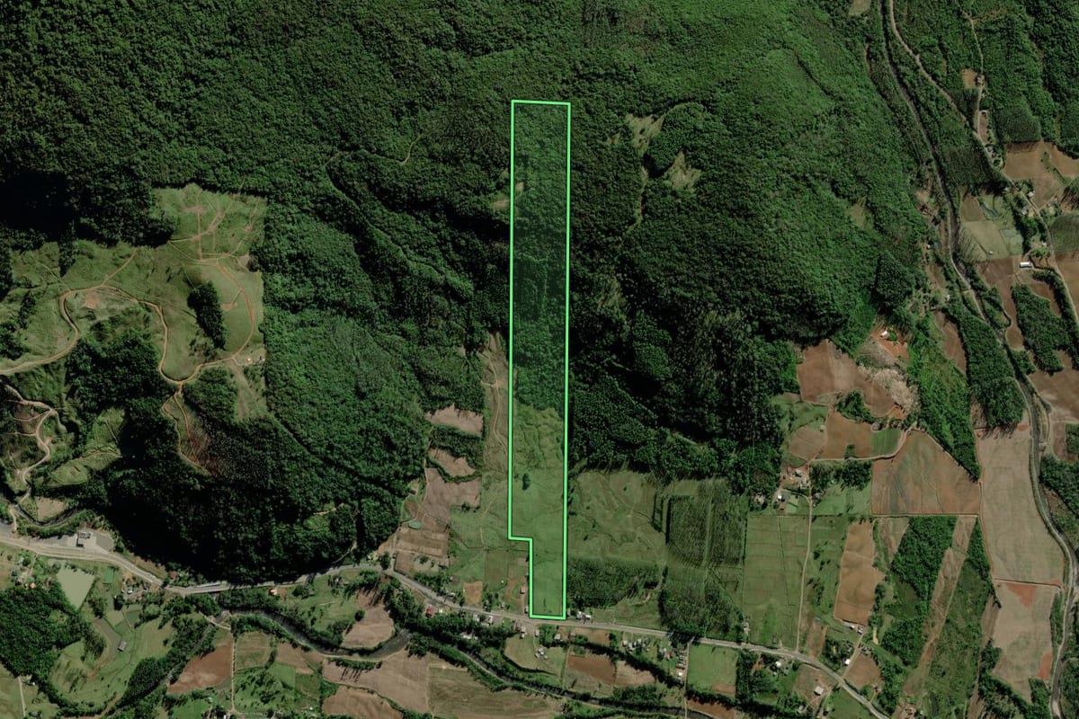 Imagem de satélite do imóvel rural em Timbé do Sul (SC), com o contorno declarado no CAR desenhado por cima.