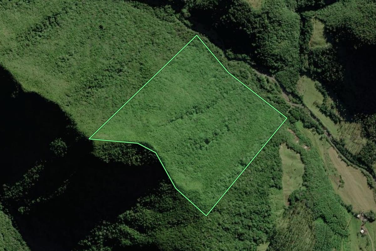 Imagem de satélite do imóvel rural em Timbé do Sul (SC), com o contorno declarado no CAR desenhado por cima.