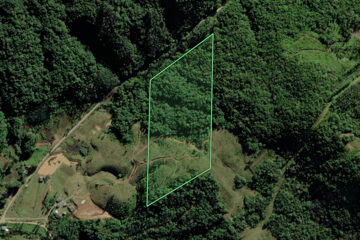 Imagem de satélite do imóvel rural em Timbé do Sul (SC), com o contorno declarado no CAR desenhado por cima.