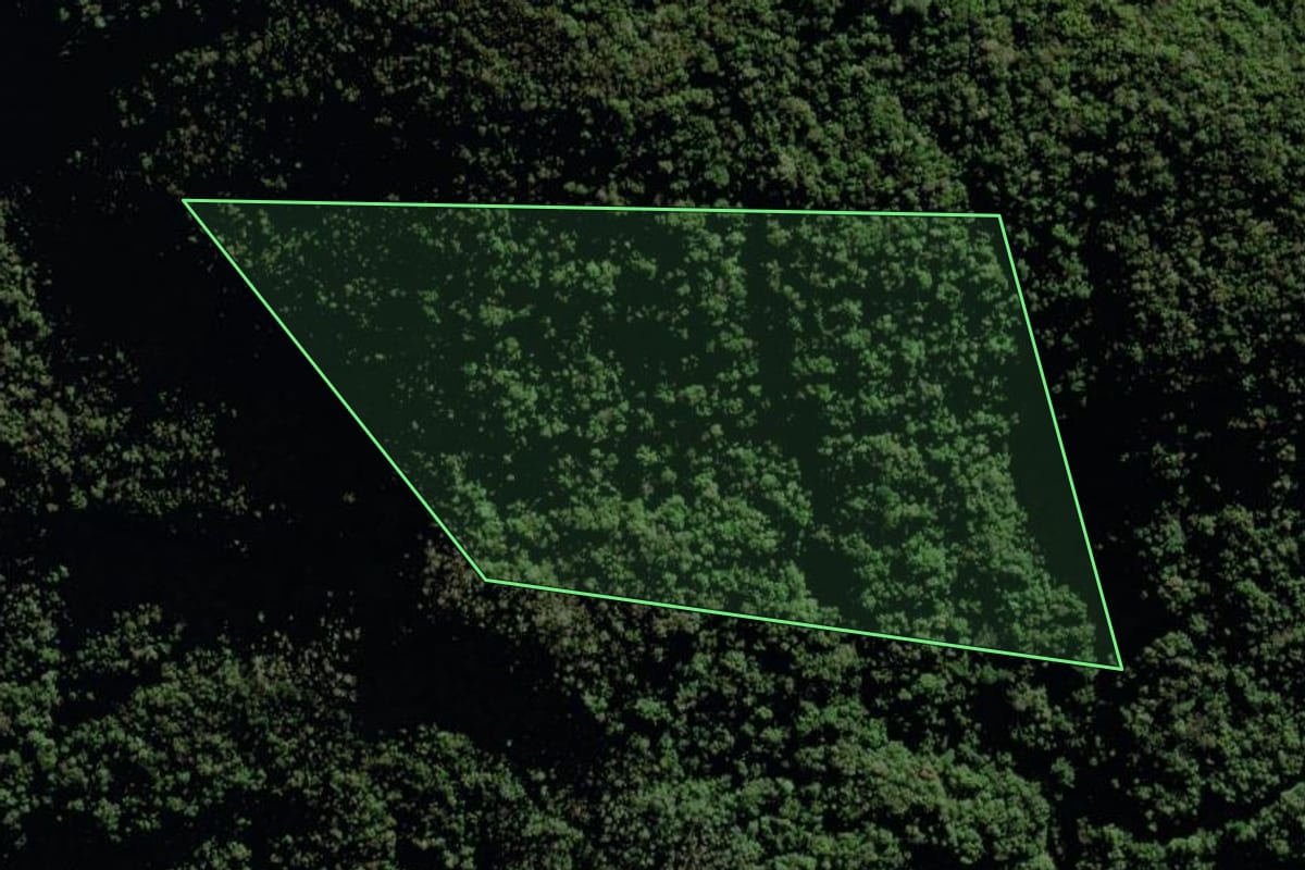 Imagem de satélite do imóvel rural em Timbé do Sul (SC), com o contorno declarado no CAR desenhado por cima.