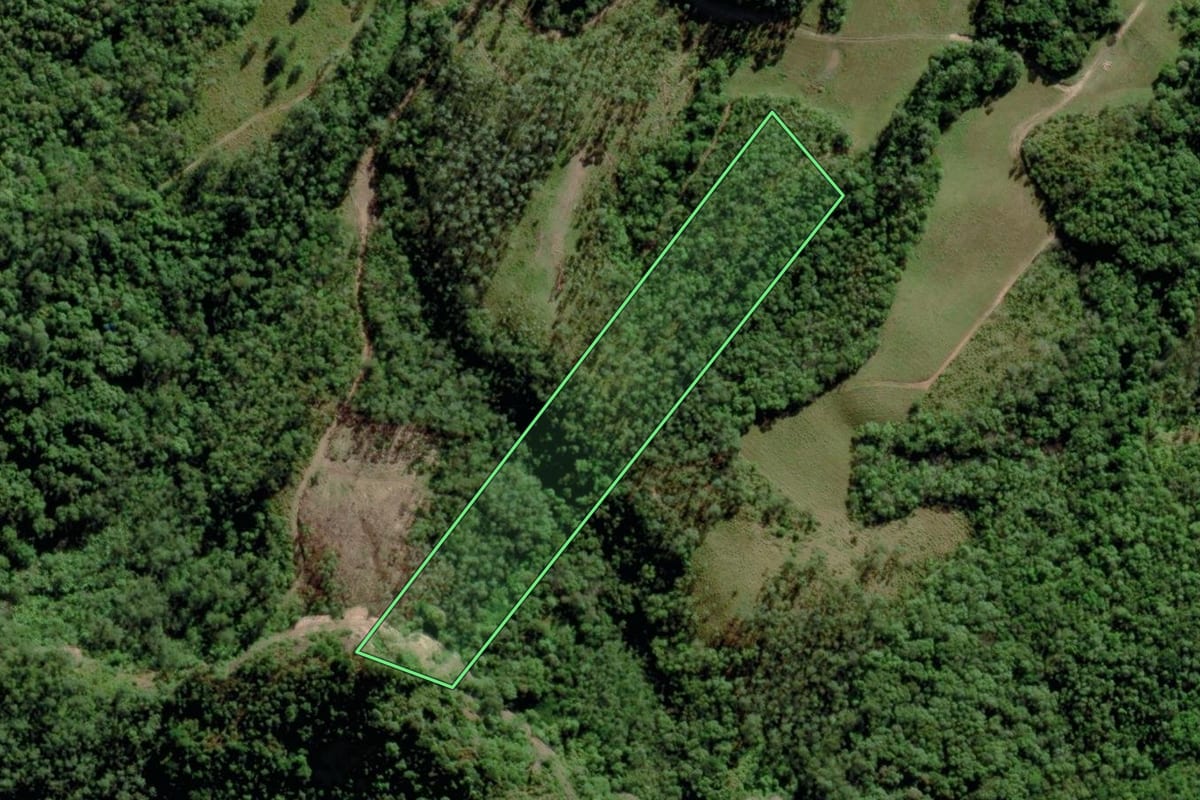 Imagem de satélite do imóvel rural em Timbé do Sul (SC), com o contorno declarado no CAR desenhado por cima.