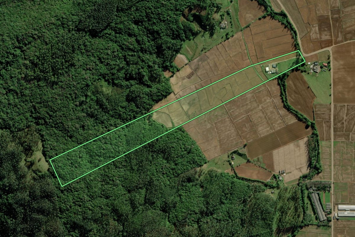 Imagem de satélite do imóvel rural em Timbé do Sul (SC), com o contorno declarado no CAR desenhado por cima.
