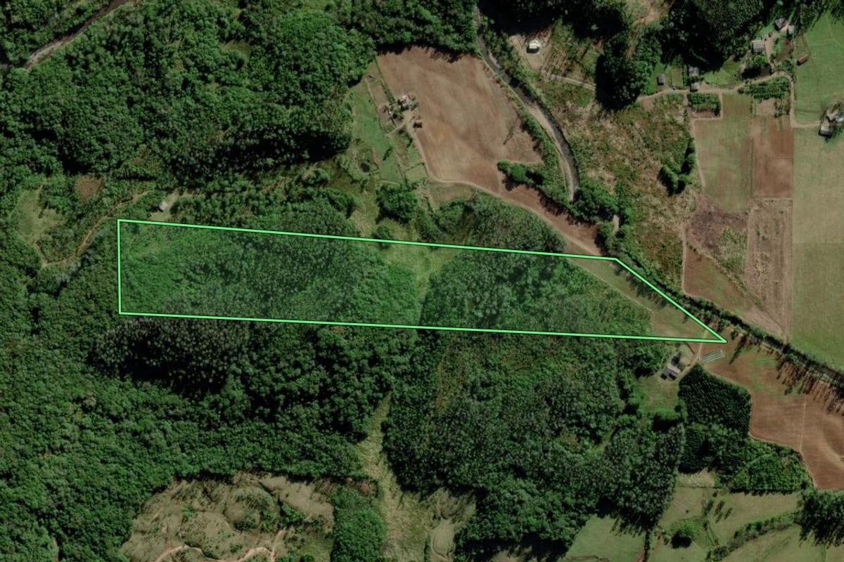 Imagem de satélite do imóvel rural em Timbé do Sul (SC), com o contorno declarado no CAR desenhado por cima.