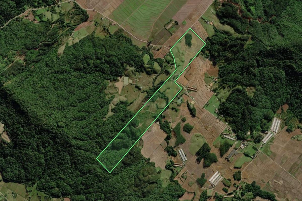 Imagem de satélite do imóvel rural em Timbé do Sul (SC), com o contorno declarado no CAR desenhado por cima.
