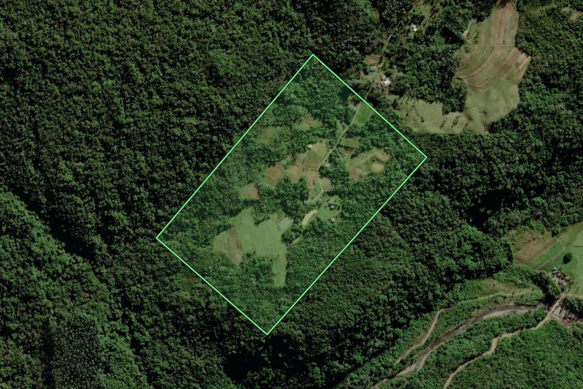 Imagem de satélite do imóvel rural em Timbé do Sul (SC), com o contorno declarado no CAR desenhado por cima.