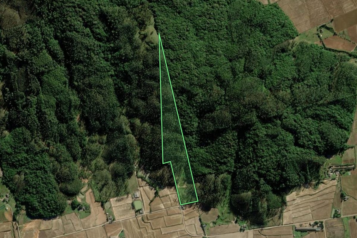 Imagem de satélite do imóvel rural em Timbé do Sul (SC), com o contorno declarado no CAR desenhado por cima.