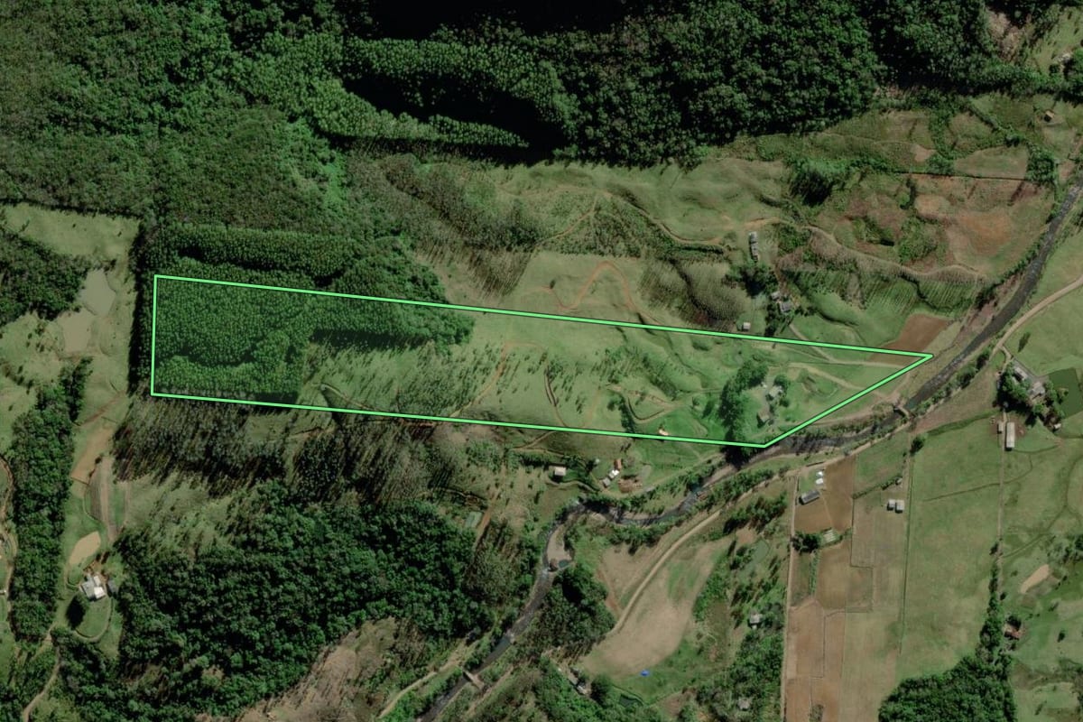 Imagem de satélite do imóvel rural em Timbé do Sul (SC), com o contorno declarado no CAR desenhado por cima.