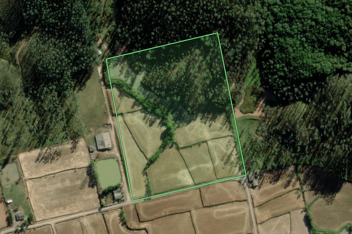 Imagem de satélite do imóvel rural em Timbé do Sul (SC), com o contorno declarado no CAR desenhado por cima.