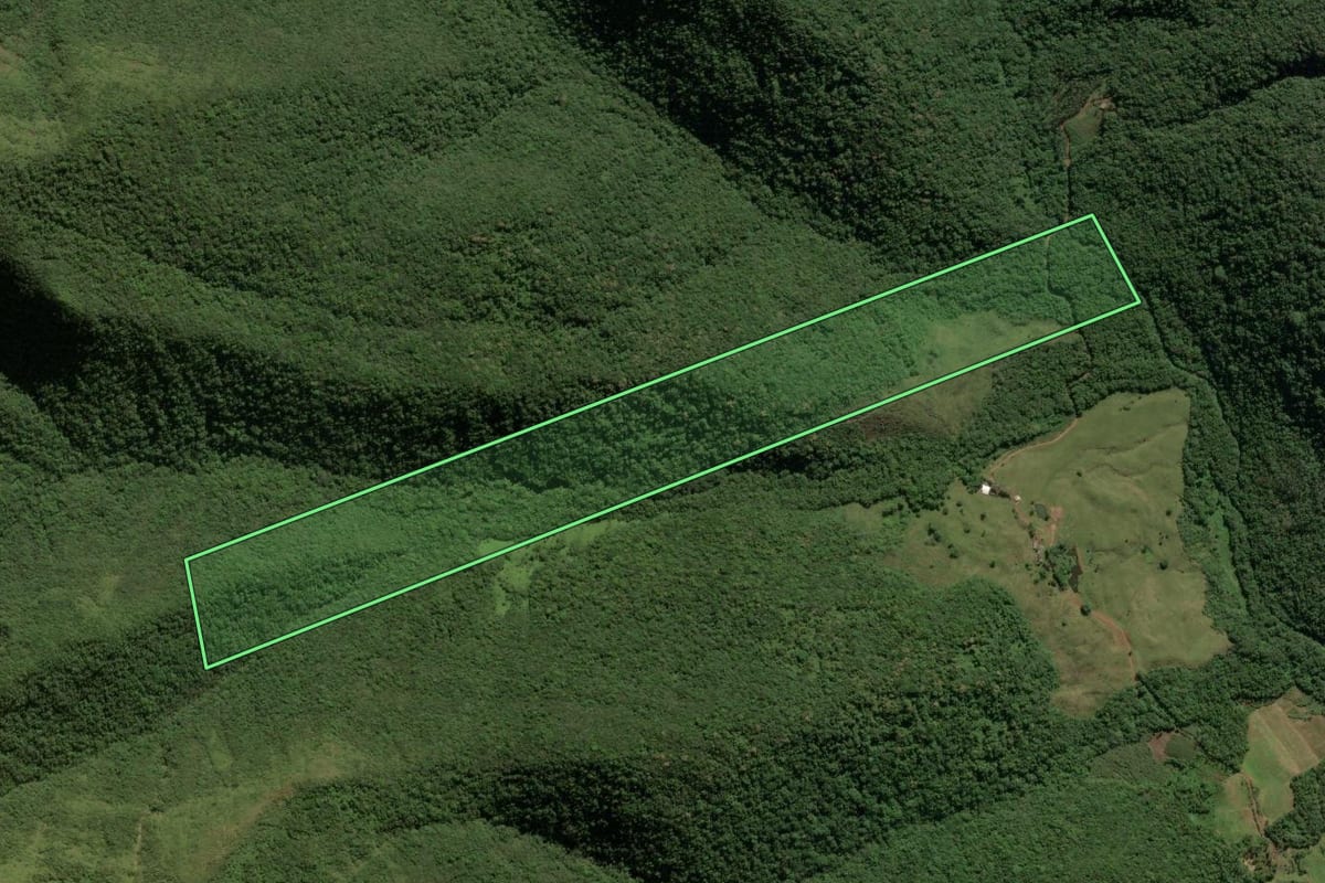 Imagem de satélite do imóvel rural em Timbé do Sul (SC), com o contorno declarado no CAR desenhado por cima.