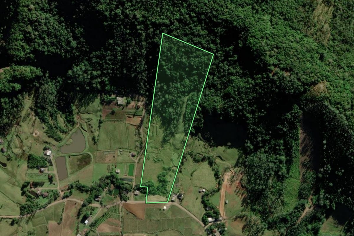 Imagem de satélite do imóvel rural em Timbé do Sul (SC), com o contorno declarado no CAR desenhado por cima.