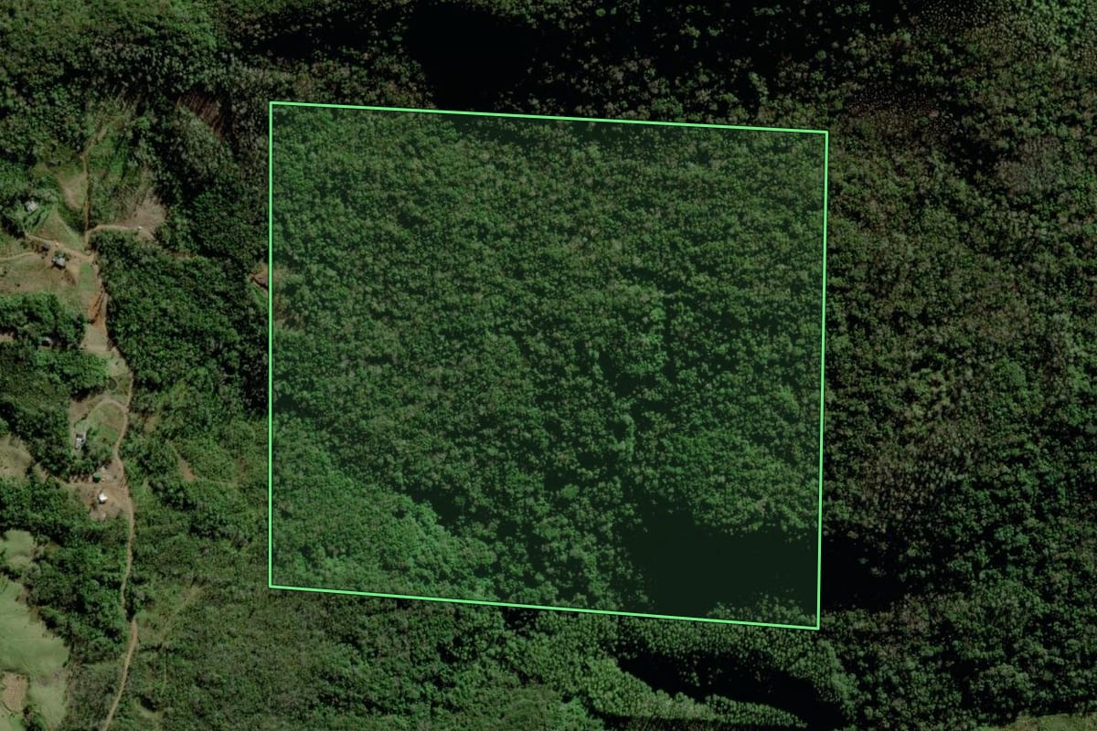 Imagem de satélite do imóvel rural em Timbé do Sul (SC), com o contorno declarado no CAR desenhado por cima.