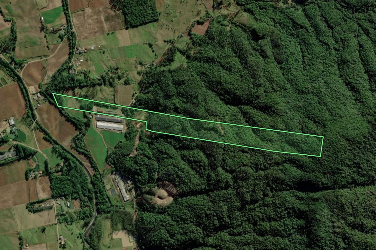 Imagem de satélite do imóvel rural em Timbé do Sul (SC), com o contorno declarado no CAR desenhado por cima.