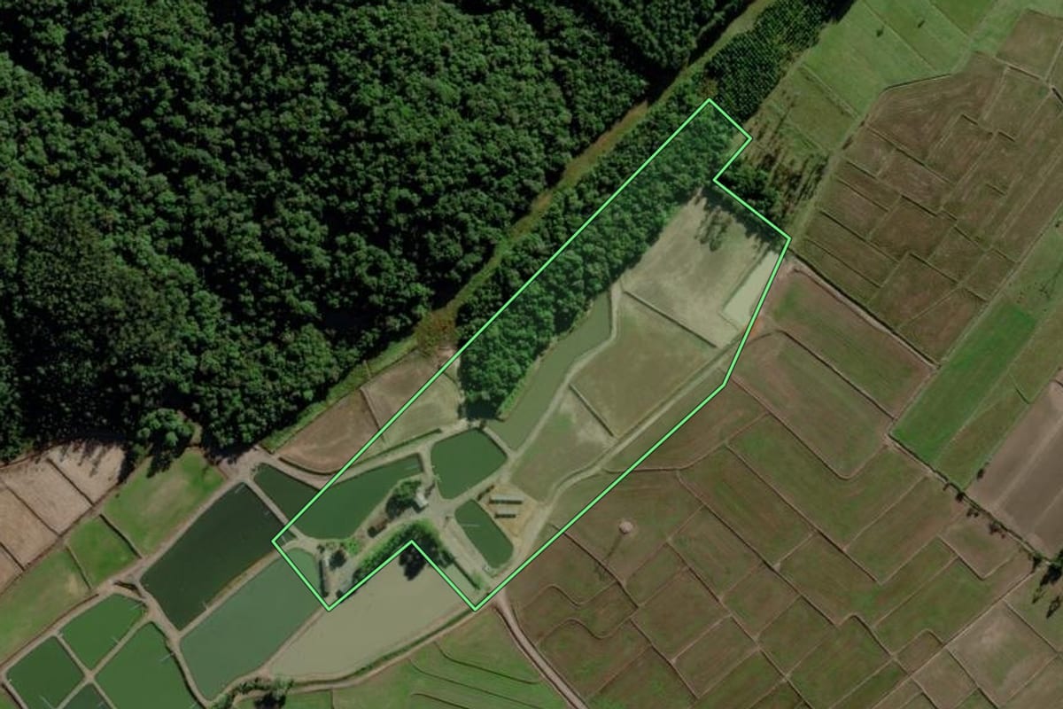 Imagem de satélite do imóvel rural em Timbé do Sul (SC), com o contorno declarado no CAR desenhado por cima.