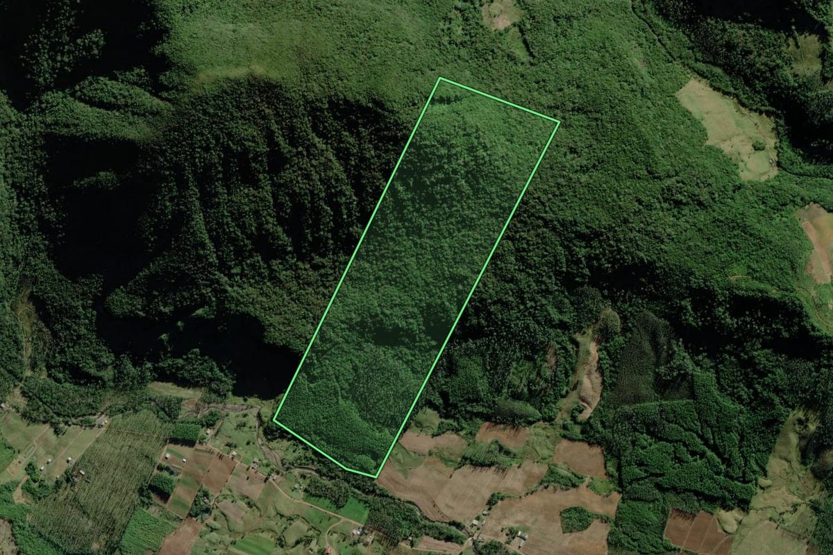 Imagem de satélite do imóvel rural em Timbé do Sul (SC), com o contorno declarado no CAR desenhado por cima.